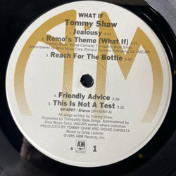 Винтажная виниловая пластинка LP Tommy Shaw What If (США 1985)