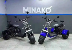 Электроскутер Minako Rex электрический