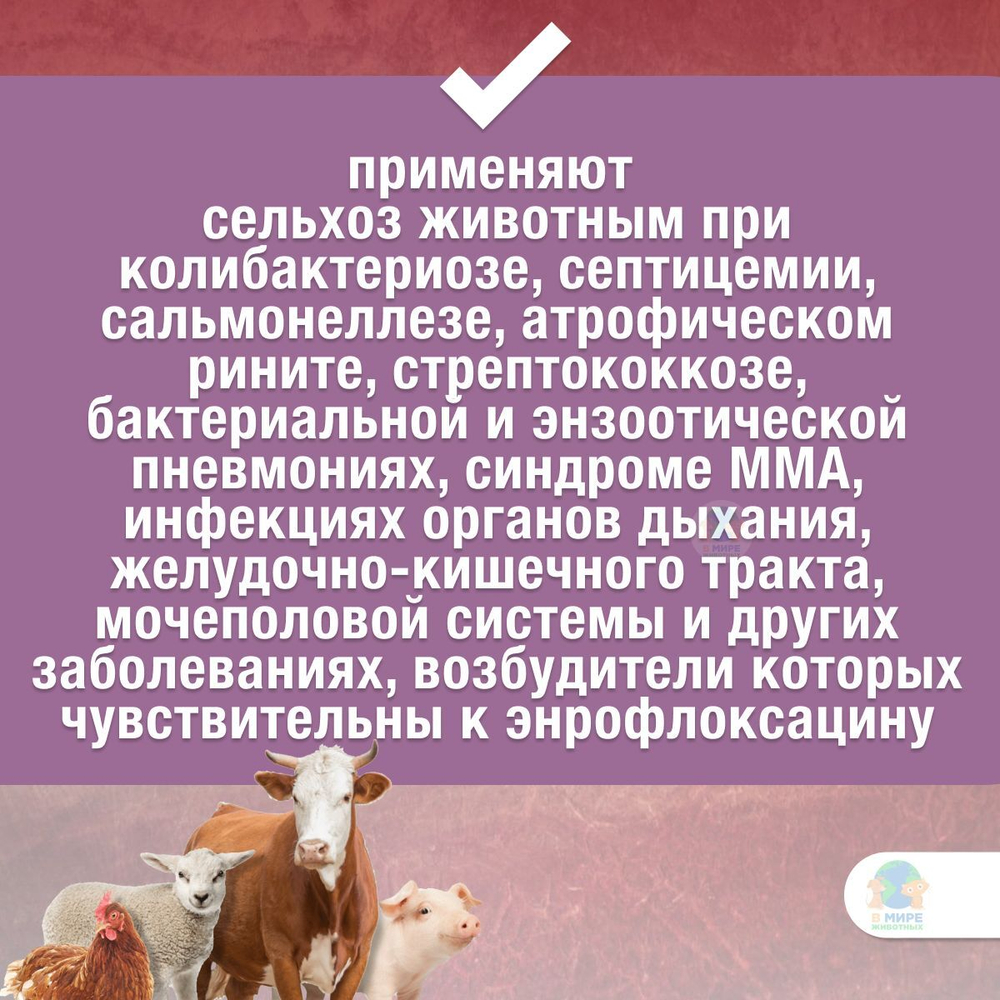 Энрофлокс 10% раствор для инъекций для коз, крупного рогатого скота, овец, свиней 100 мл. Энрофлоксацин.