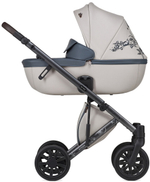 Детская коляска Anex e/type 3 в 1 eden