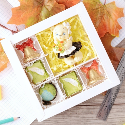 Набор шоколадный "Школьница" / Конфеты ручной работы