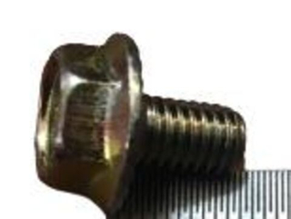 Болт 6х 10 с зубчатым буртиком 2101  (ОАО «БелЗАН») (уп25\50шт)