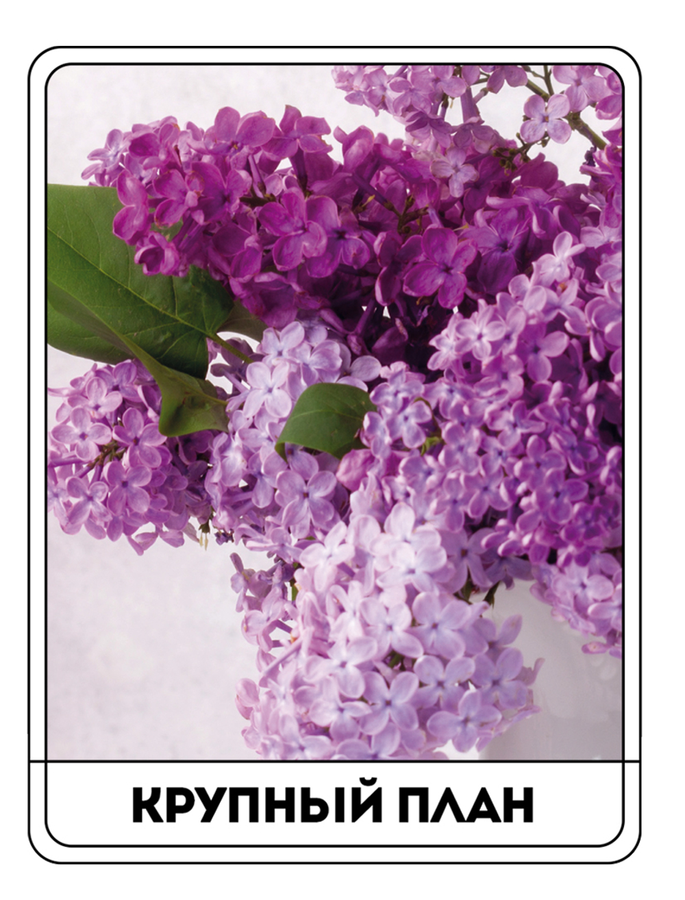 Картина "Букет сирени в фаянсовом кувшине"