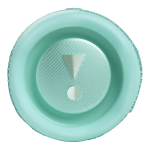 Портативная колонка JBL Flip 6 Teal, бирюзовый