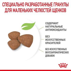 Корм для щенков мелких пород, Royal canin Mini Puppy