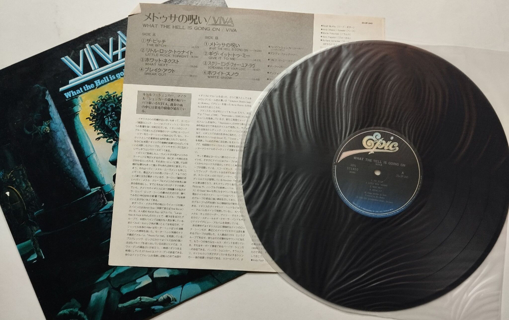 Винтажная виниловая пластинка LP Viva What The Hell Is Going On (Japan 1981) (No Obi)