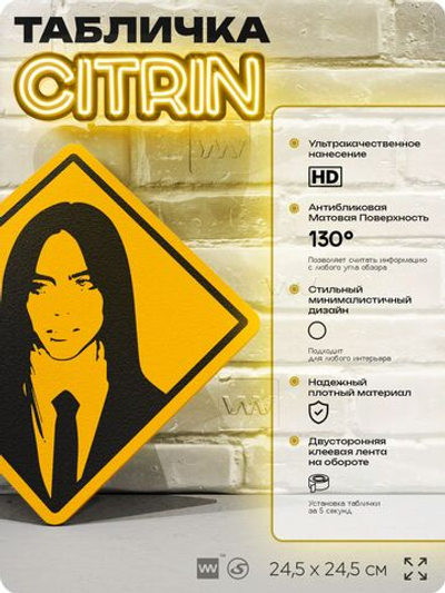 Табличка декоративная "Билли Айлиш, Billie Eilish" на дверь и стену, прикольная штука в подарок, декоративный знак, 24,5х24,5 см, пластиковая, Айдентика Технолоджи