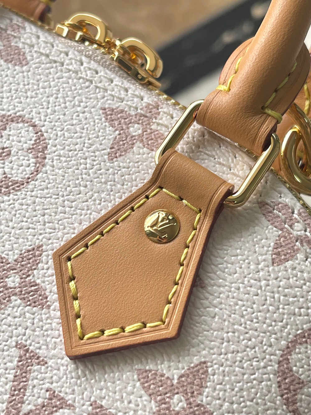 Louis Vuitton Nano Alma
