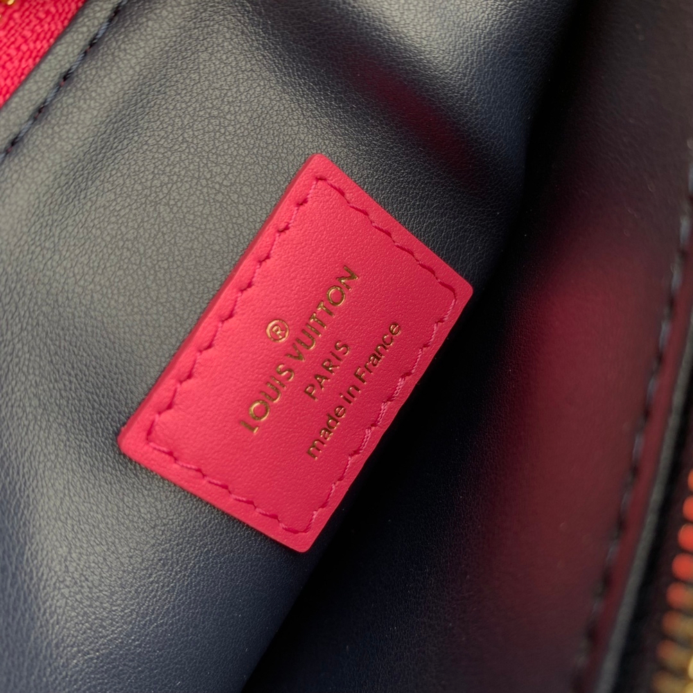 Louis Vuitton Coussin PM