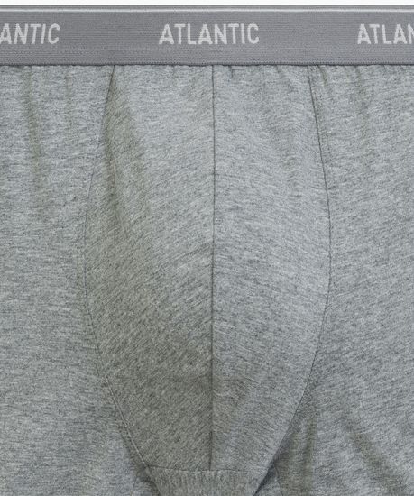 Трусы мужские боксеры (2шт), Atlantic 2RMH-011, хлопок, серый меланж + темно-голубой