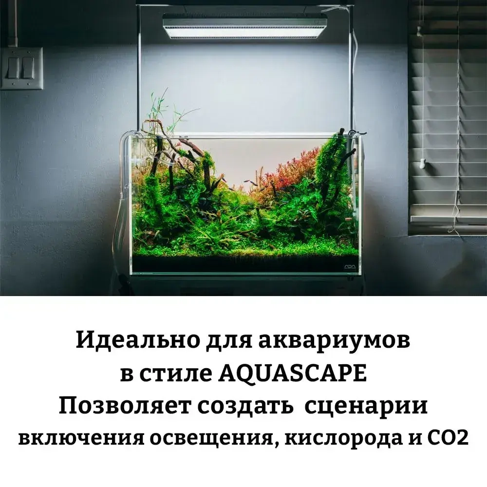 Умный сетевой фильтр на 4 розетки с таймером и WiFi, 4 порта USB, умный дом, Алиса, Tuya, Smart Life