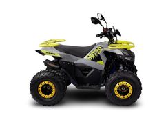 Квадроцикл AVANTIS Ray 8 Lux