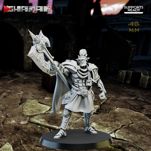 Grand Alliance Order  Stormcast Eternal Praetors Воитель с двуручным топором №1 миниатюра для dnd, днд, pathfinder, фентези, Настольная игра, НРИ, Варгейм, РПГ