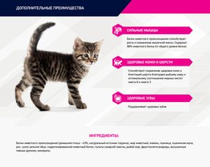 Корм для котят, Eukanuba Cat, с домашней птицей