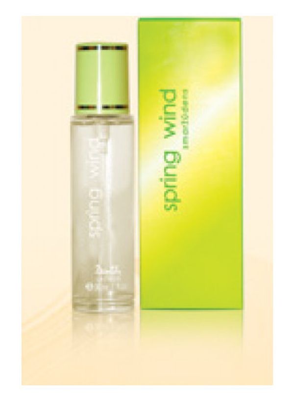 Dzintars Spring Wind