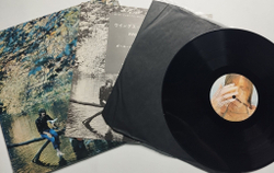 Винтажная виниловая пластинка LP Wings Paul McCartney Wild Life (Japan 1971)