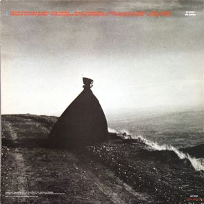 Gary Moore / Wild Frontier (LP)