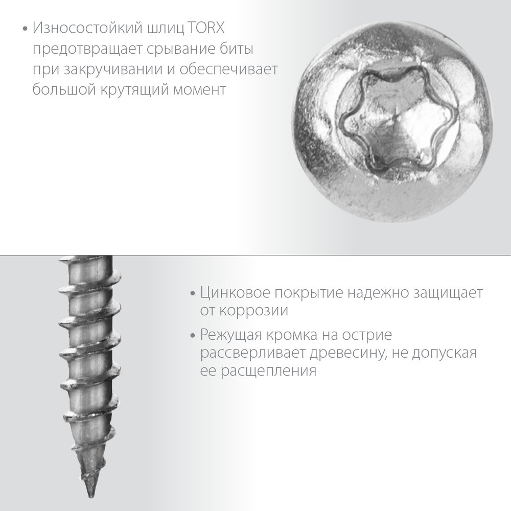 ЗУБР СПК, 50 х 5 мм, TX20, цинк 170 шт (0,68 кг.), саморез для перфорированного крепежа, Профессионал (30061-50-50)
