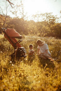 Детская прогулочная коляска Anex AIR-X Ax-01 terracotta