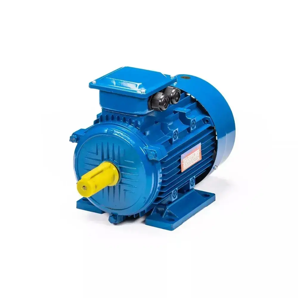 Электродвигатель трехфазный 5АИ 100 L2 IM 1081 5.5 кВт/3000 об.мин