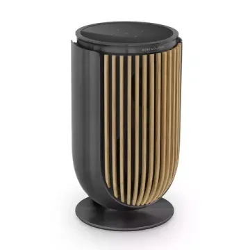 Bang & Olufsen Beolab 8 Black Anthracite/Oak, TS