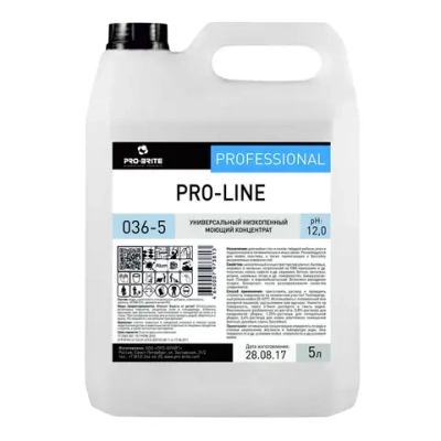 Про-Лайн дезинфицирующее средство 5 л