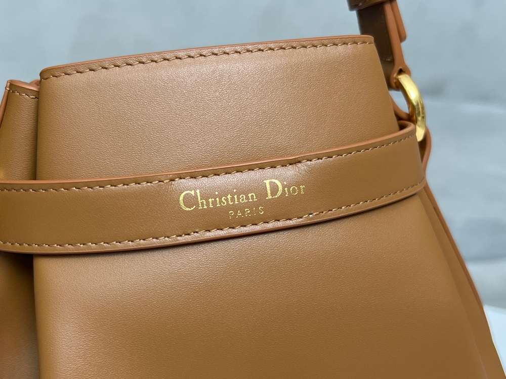 Christian Dior Medium C'est Dior Bag