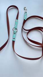 Перестежка поводок для собак средних и мелких пород , 15 мм, 3 м. Коричневый и мята