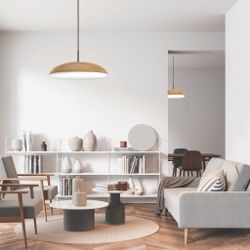 8142 Подвесной светильник KAZZ