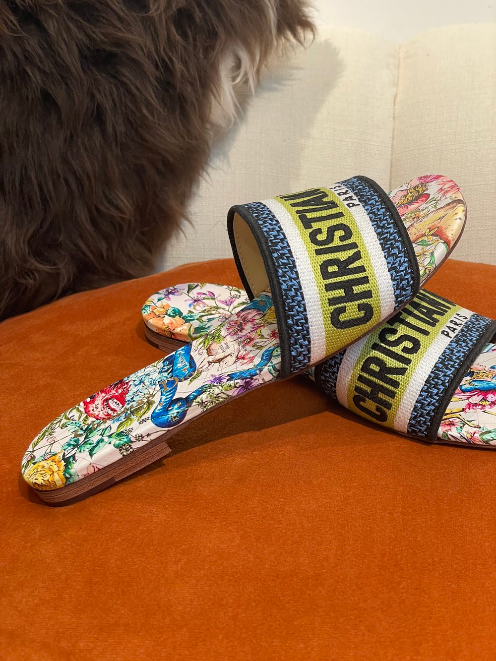 Christian Dior Dway Slide
