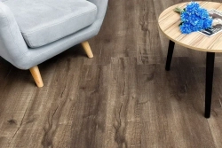 SPC ламинат Alpine Floor Дуб Vermont