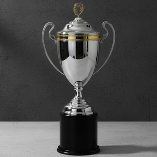 Кубки посеребренные и эксклюзивные