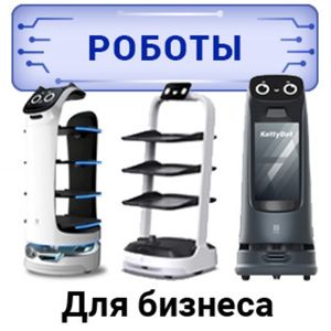 Сервисные роботы для бизнеса