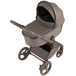 Детская коляска Anex Flo 2 в 1 Yuki