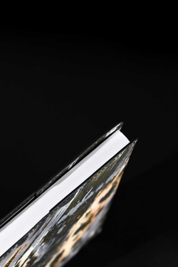 6d6e9743_b3b3_11ef_ba9b_d05099d5d12d_71c14712_b4d1_11f0_baba_d05099d5d12d