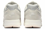 Кроссовки Fear Of God X Nike Air Skylon 2 Fear Of God Light Bone Fog