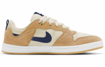 Кроссовки Nike Sb Alleyoop