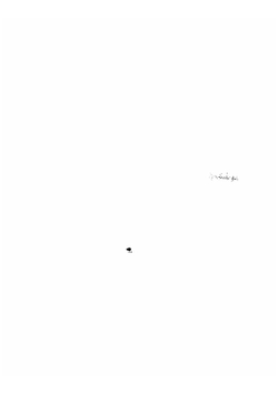 Указатель церковных древностей города Смоленска | Цветков Петр