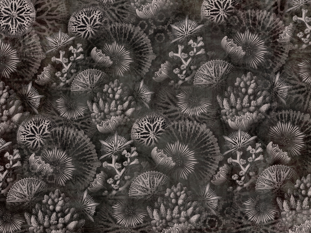 Коллекция WAVES