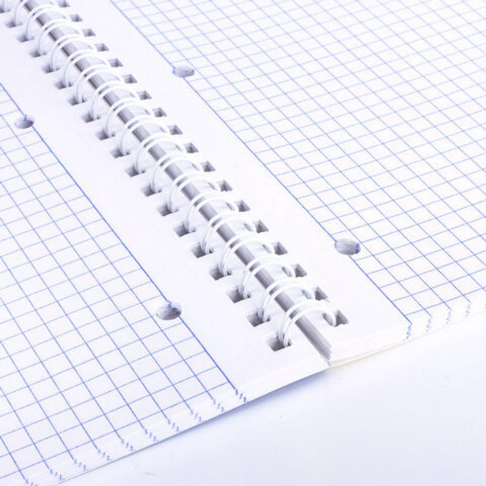 Тетрадь А4, 96 л., BRAUBERG, гребень, клетка, обложка картон, КРАСИВЫЕ ЦВЕТЫ, 403072