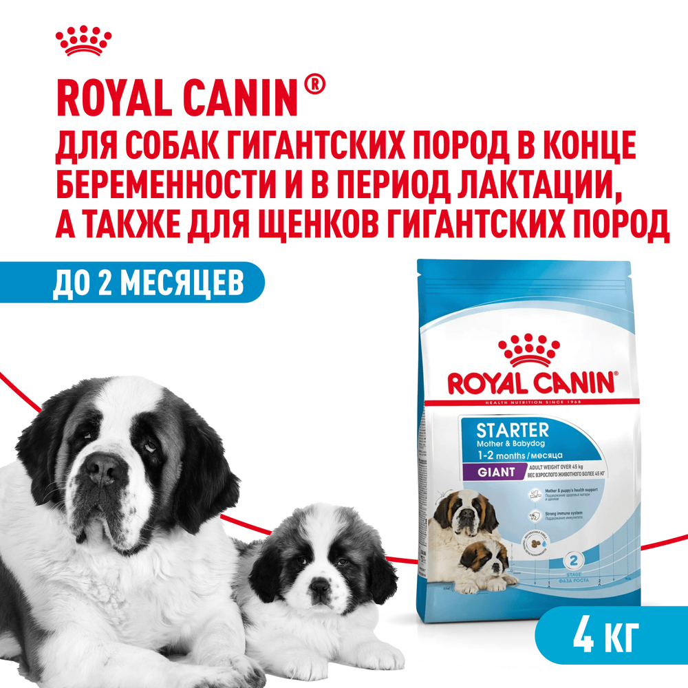 Сухой корм Royal Canin Джайнт Стартер для собак гигантских пород в конце беременности и в период лактации, для щенков до 2-х месяцев - 4 кг