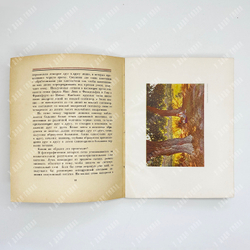 Анисимов В.И. Графические искусства и репродукция. М-Л, Госиздат, 1924 г.