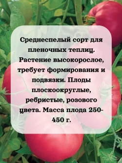 Семена Томат Бренди розовый 0.2 гр