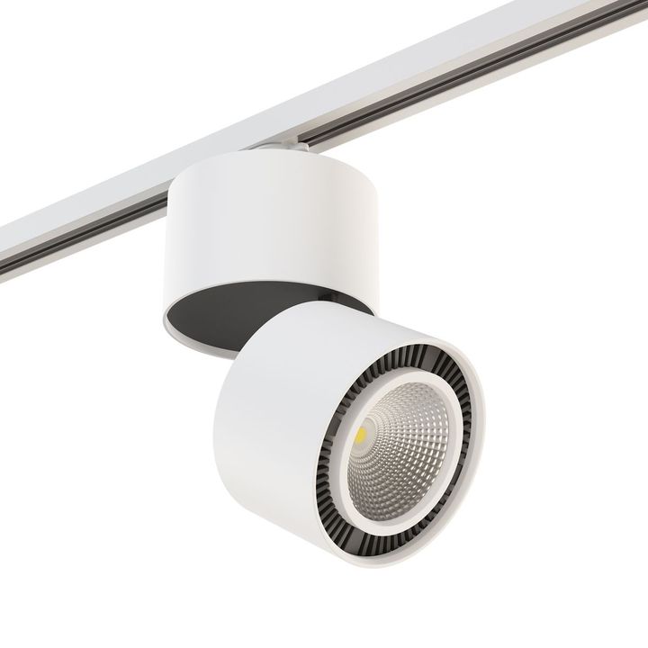 Комплект с трековым светильником Lightstar Forte Muro (592066+214850) A1T214850