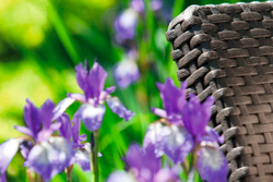 Комплект мебели Corfu Russia duo (2 кресла), коричневый