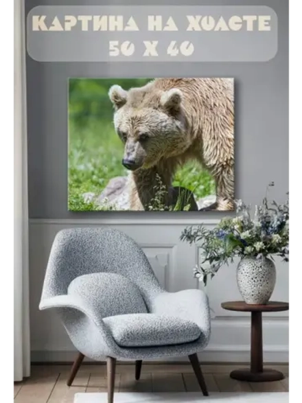 Картина на стену 40 X 50 Медведь