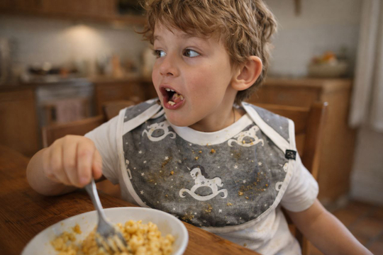 Двусторонний слюнявчик нагрудный RinaAmari Лошадки