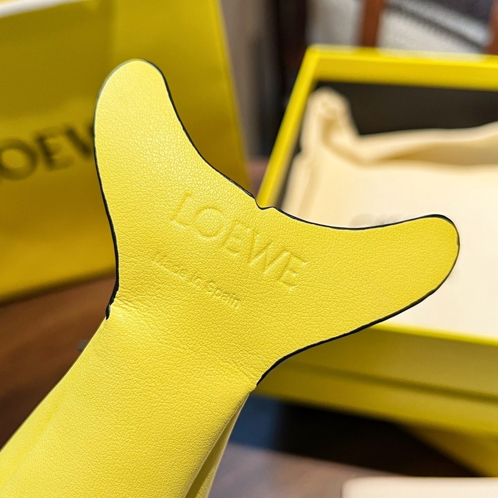Loewe Dolphin Charm