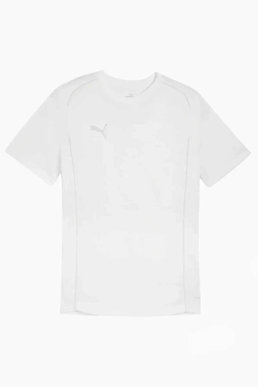 Футболка Puma teamFINAL Casuals