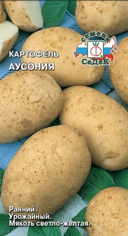 картофель Аусония
